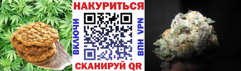 Canna-Cookies марихуана купить наркотик кракен маркетплейс Новочеркасск
